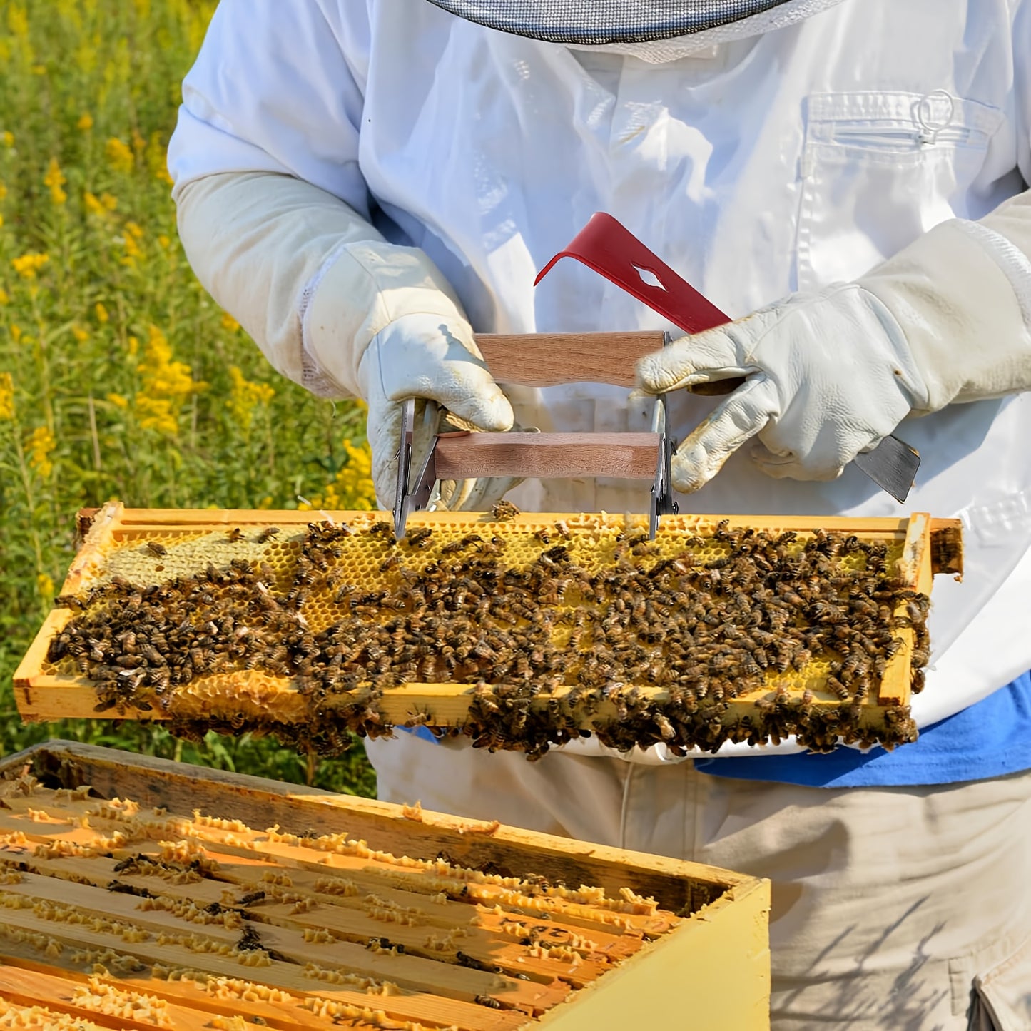 12PCS Beekeeping Supplies Starter Kit with Gloves and Tools