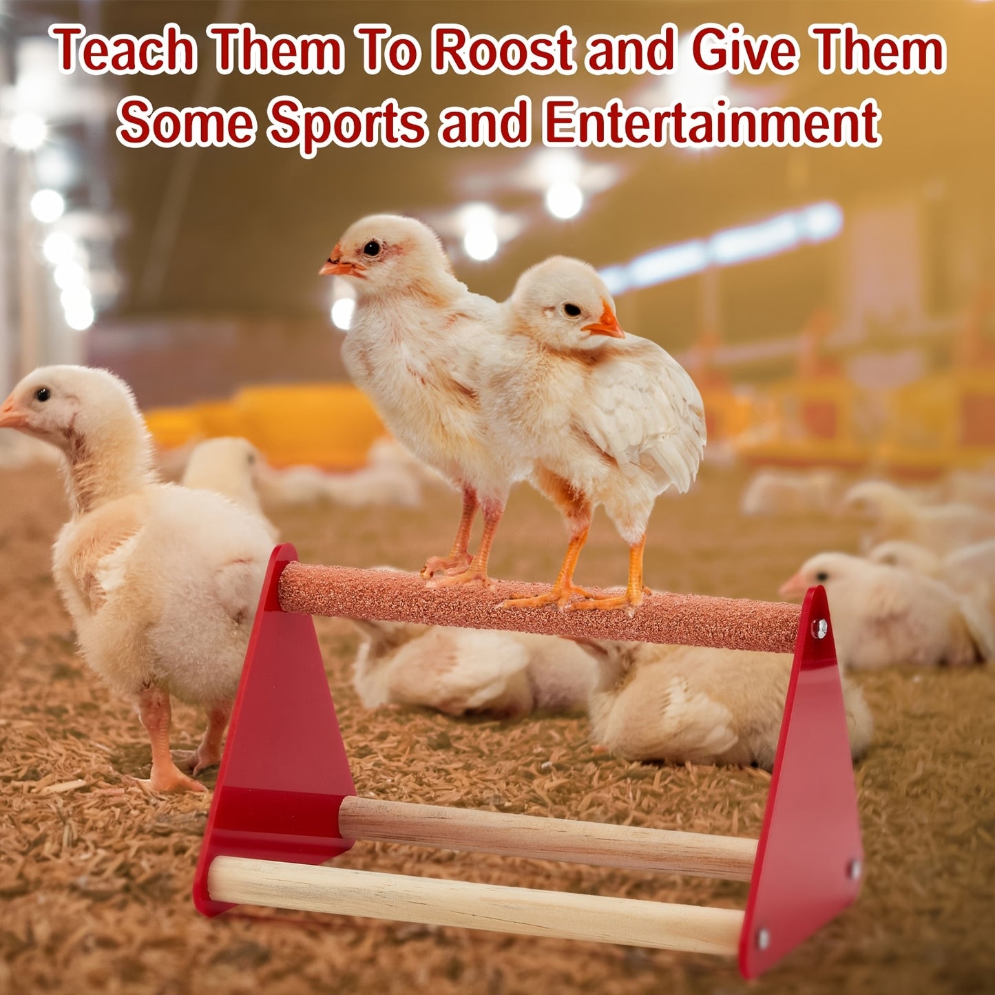 7 Piece Chicken Feeder And Waterer Kit For Small Poultry