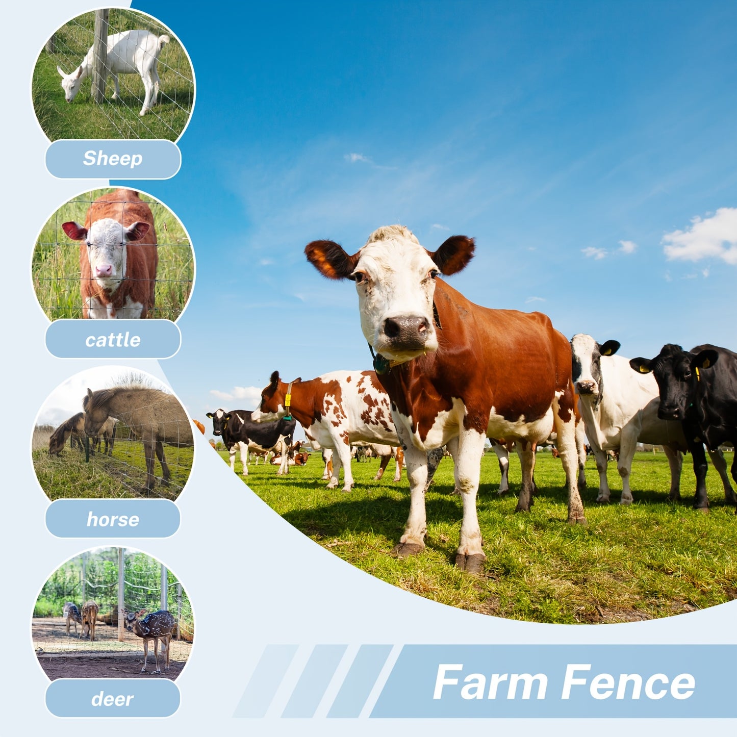 Zinc Coated Field Wire