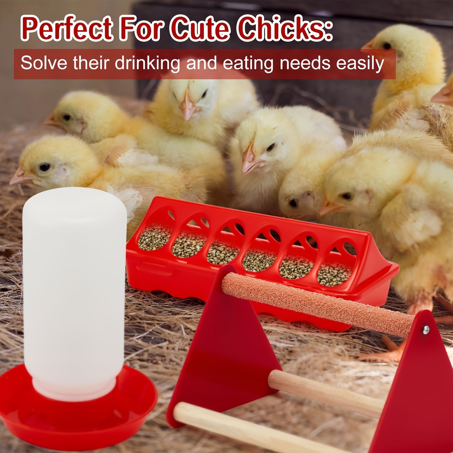 7 Piece Chicken Feeder And Waterer Kit For Small Poultry