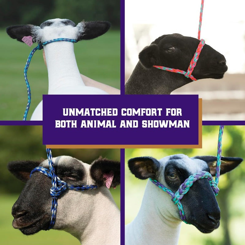 Adjustable Braided Pink and Blue Sheep Halter with Metal Ring