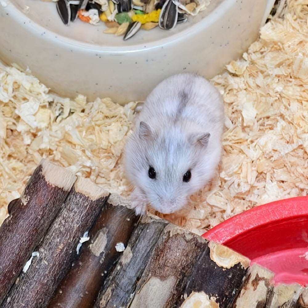 24pcs Small Pet Chew Toy