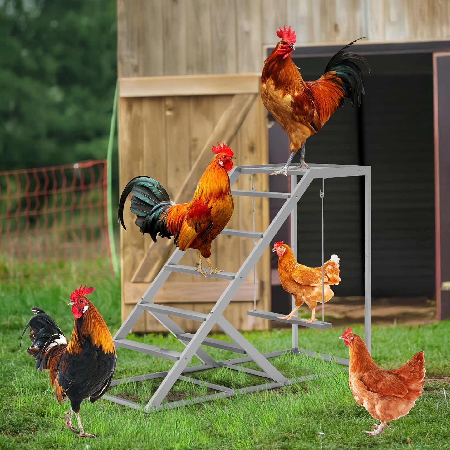 Chicken Perch Swing Set Durable Iron Alloy Platform for Hens