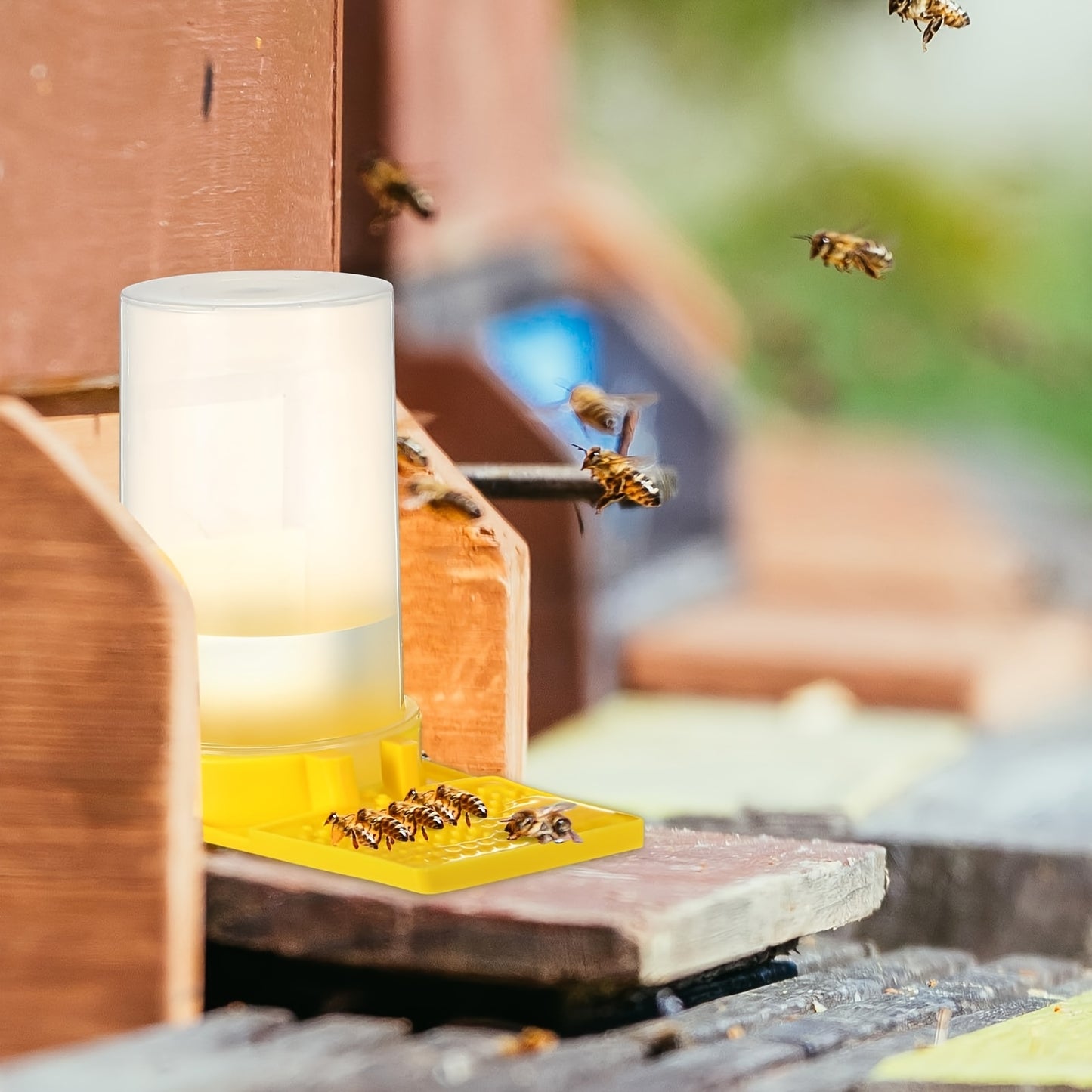 3 Pack Yellow Bee Water Feeder with Ant Proof Hexagonal Base