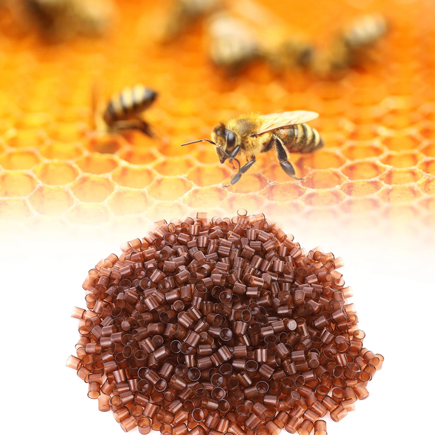 1000PCS Beekeeping Queen Cell Brown Plastic Bee Feeding Tools