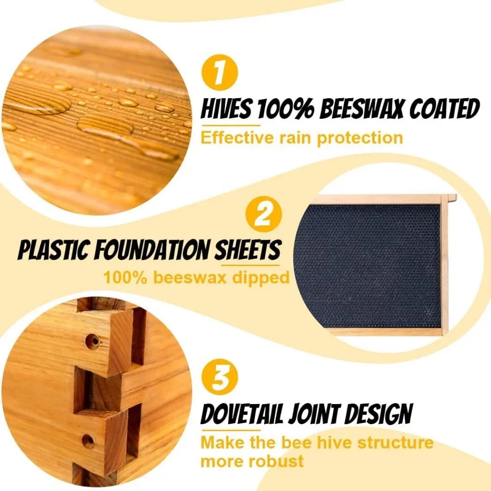 8 Frame Bee Hive Starter Kit