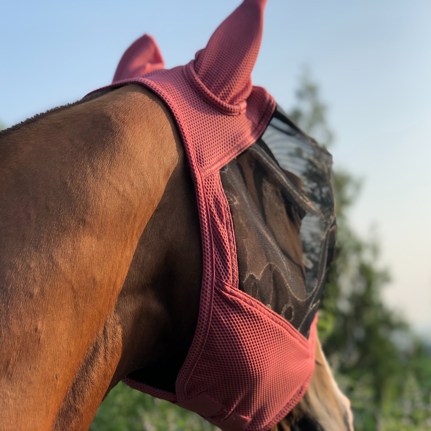 Horse Fly Mask With All Round Breathable Mesh UV Protection For Horses Durable Polyester 86 Percent UV Shield