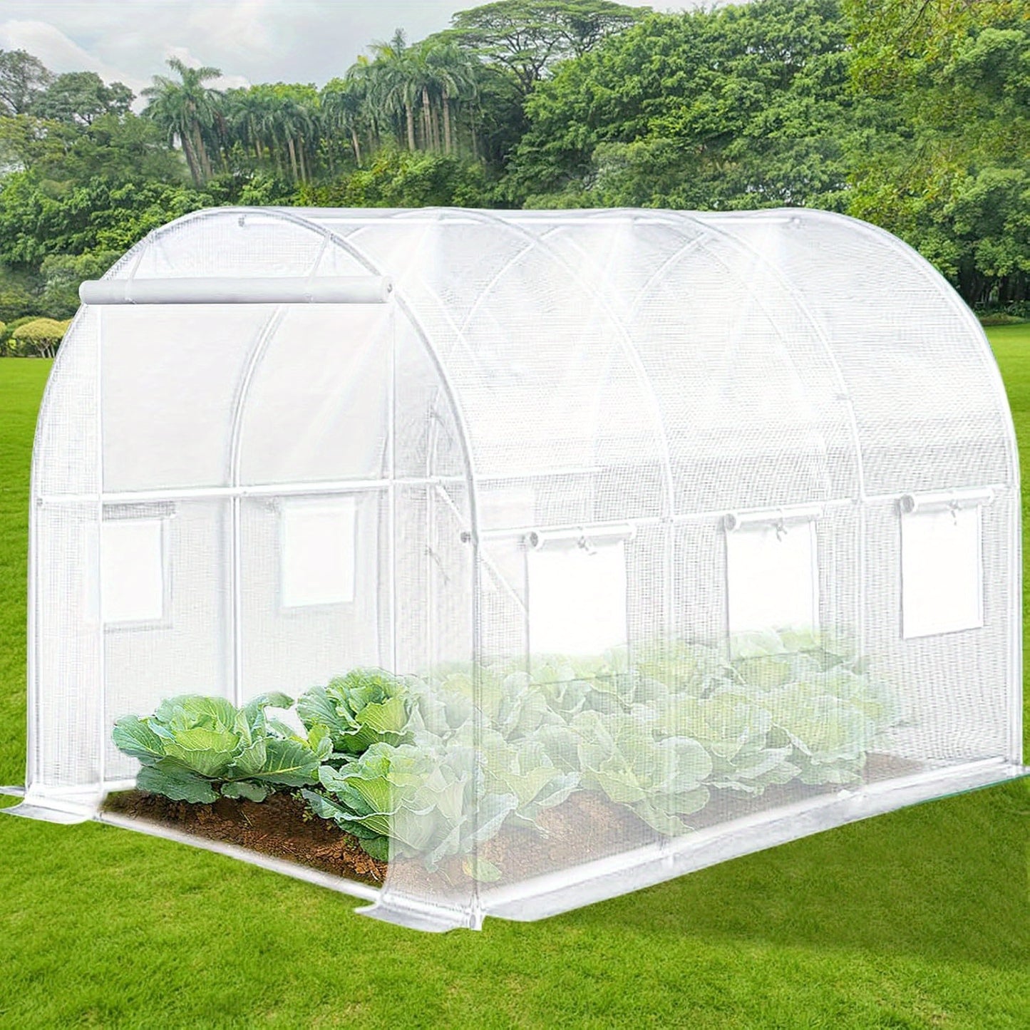 Walk In Tunnel Greenhouse With Integrated Watering System