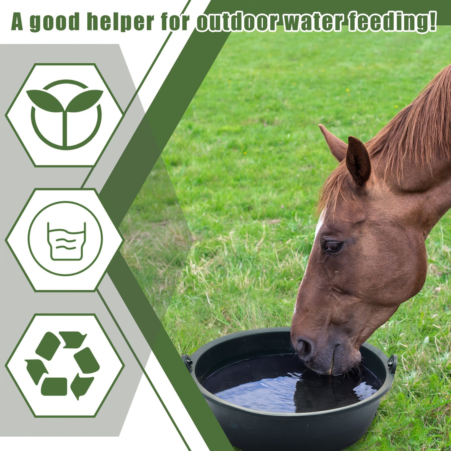 10 Pieces Durable PP Horse Feed Pans 3 Quart Capacity 10.2 x 3.1 Inch Utility Feeder for Horses Dogs Cats Goats and Chickens Non Rubber Smooth Glossy Surface Easy Grip Handles Pet Feeder
