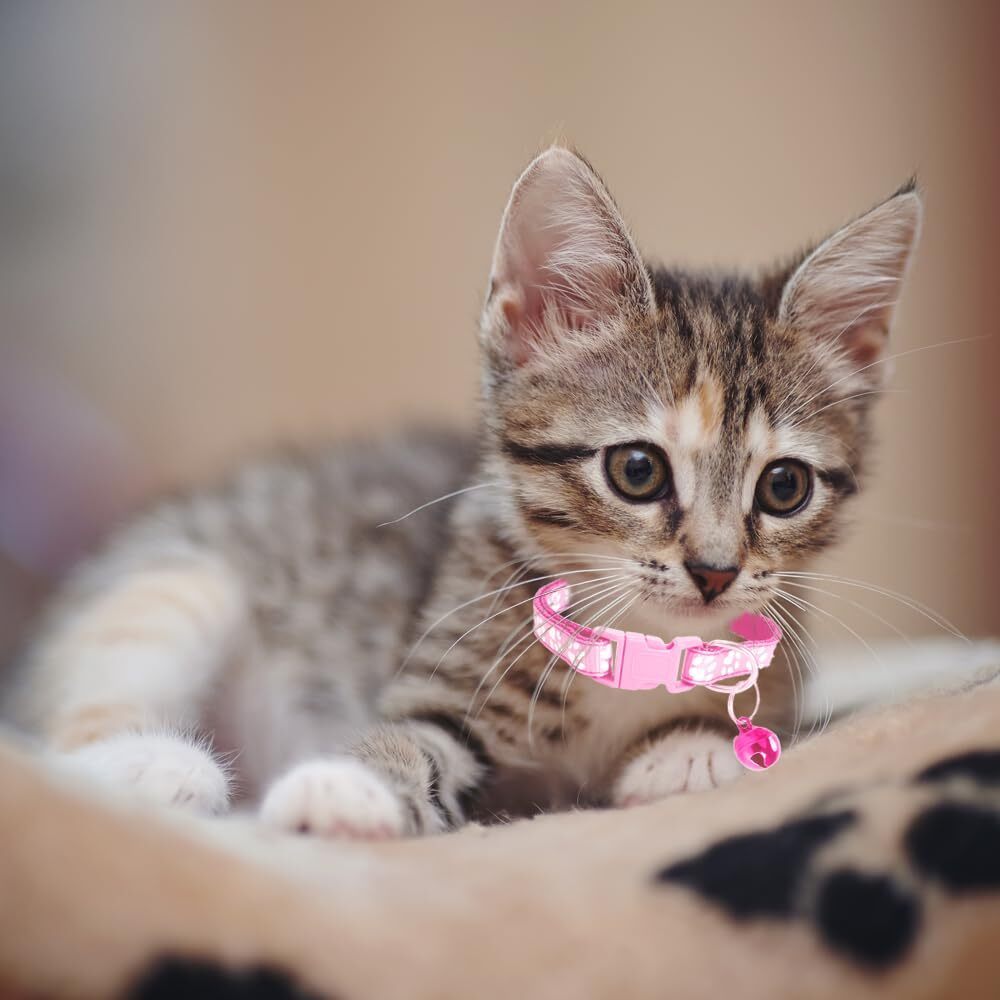 38pcs Adjustable Pet Collar Set with Reflective Paw Prints