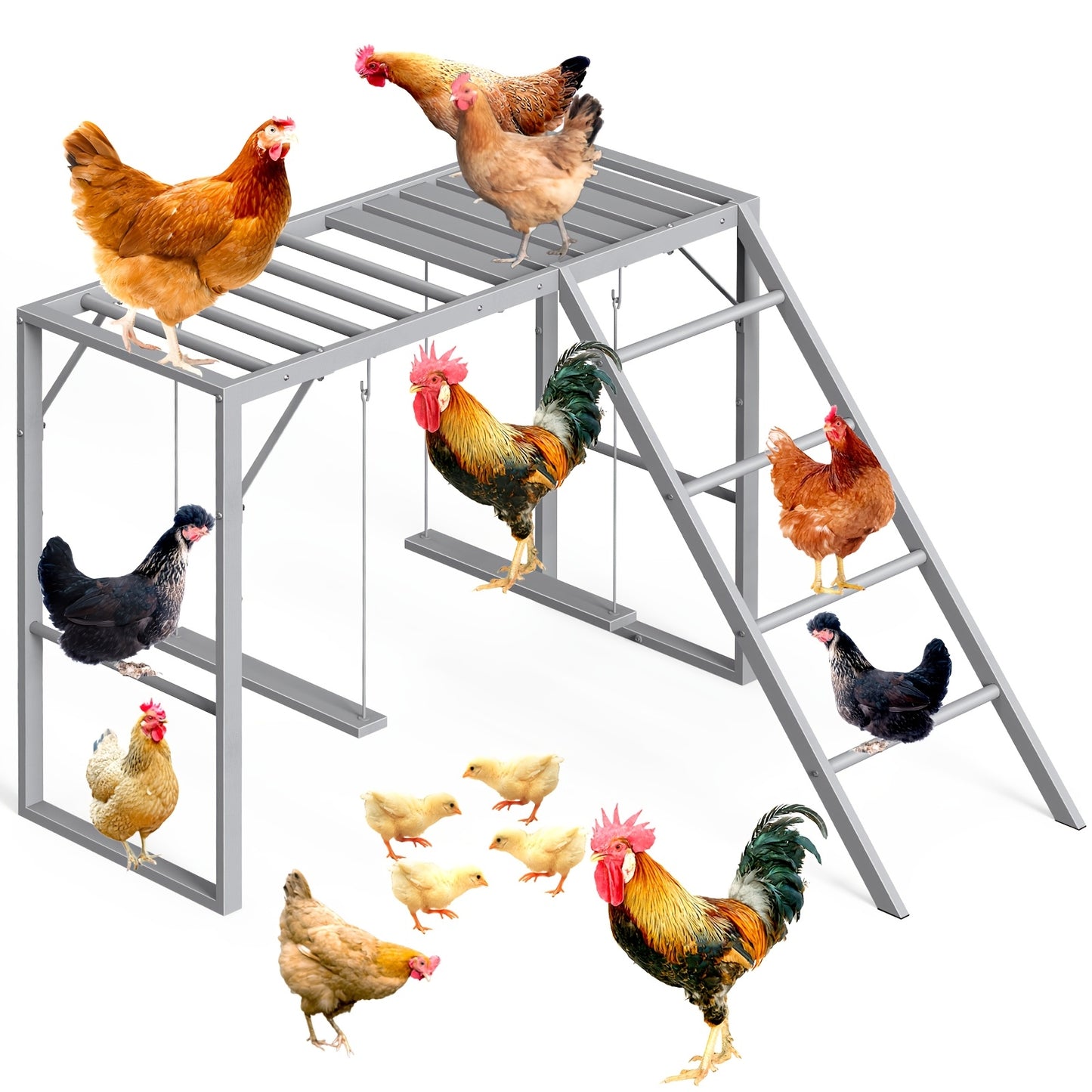 Chicken Perch Swing Set Durable Iron Alloy Platform for Hens