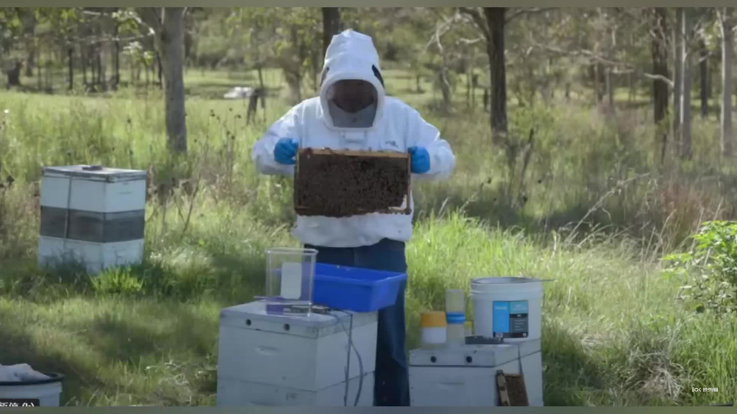 Varroa Easy Check Mite Tester for Accurate Mite Counting