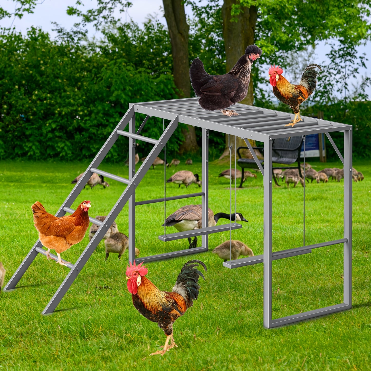 Chicken Perch Swing Set Durable Iron Alloy Platform for Hens