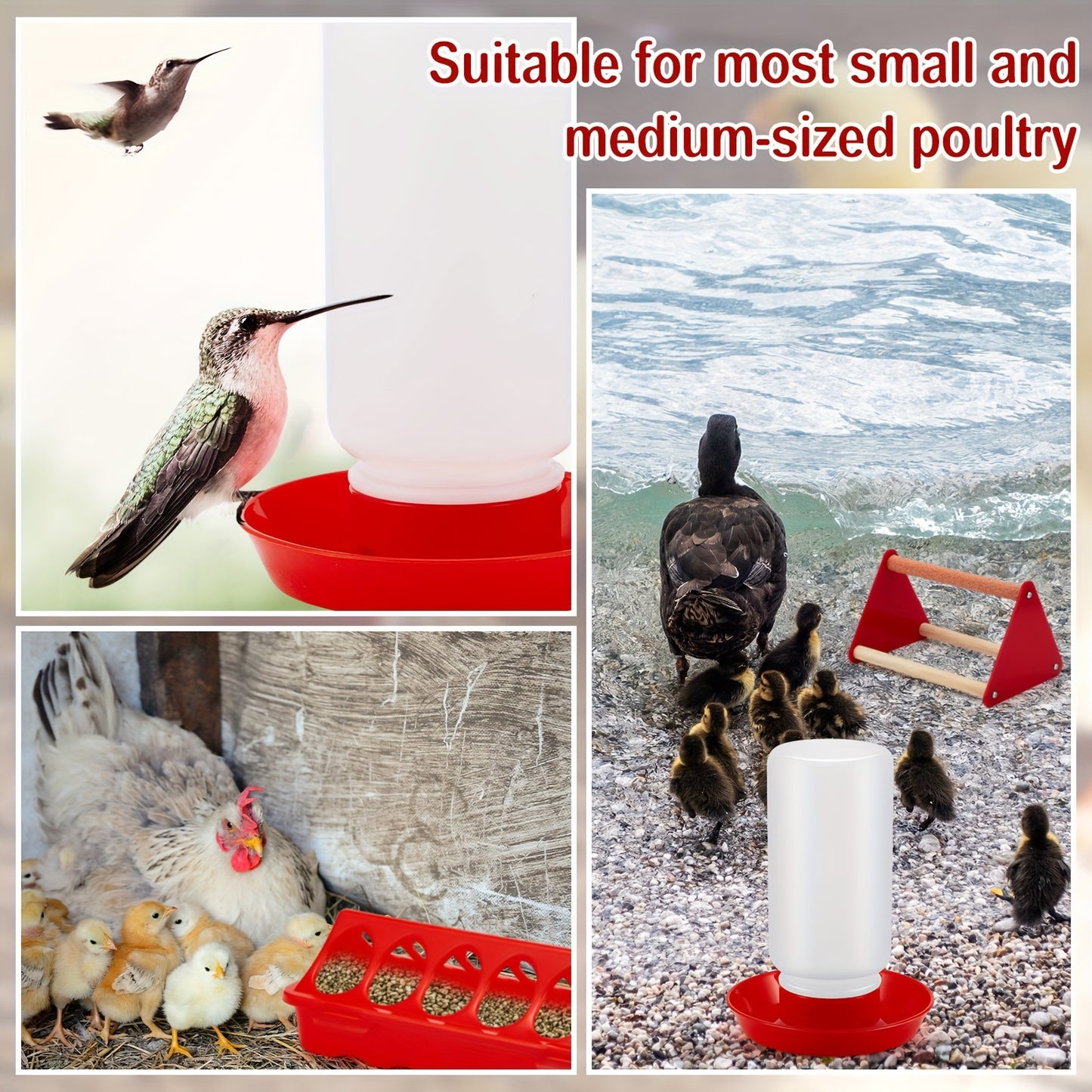 7 Piece Chicken Feeder And Waterer Kit For Small Poultry