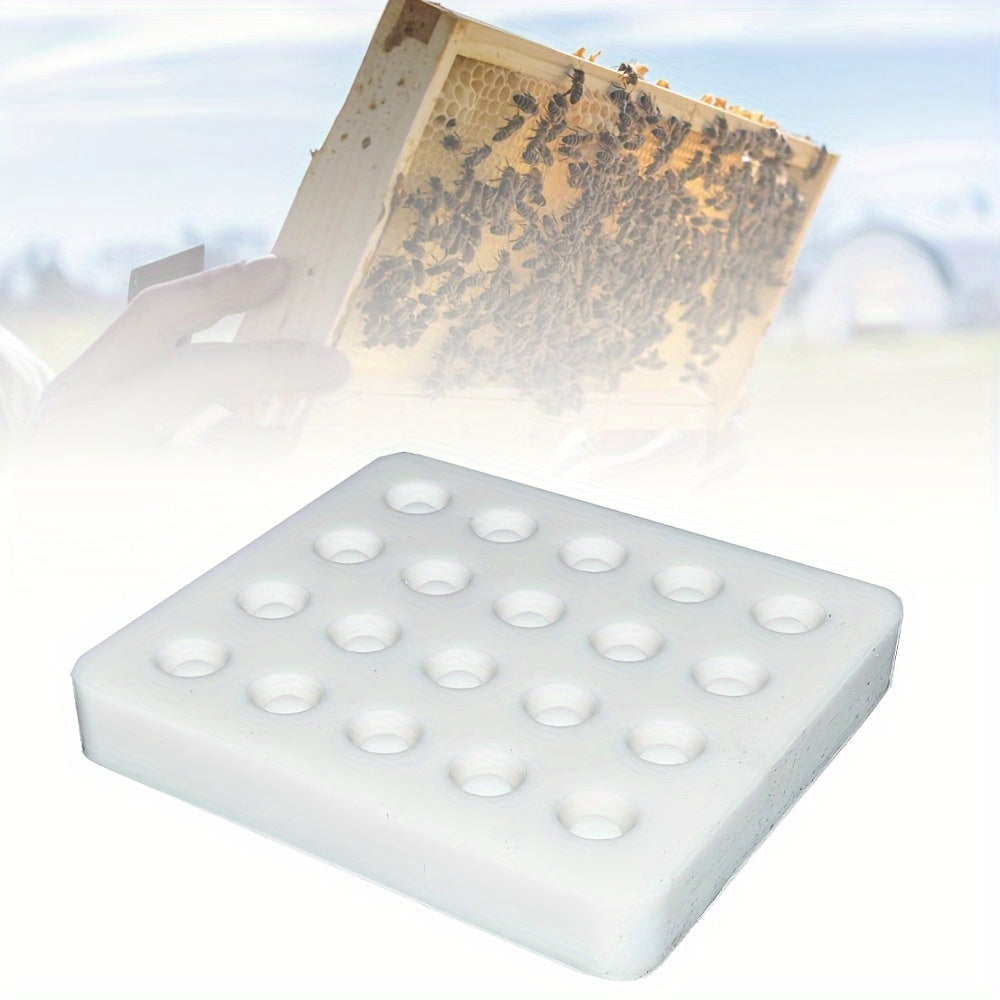 Silicone Queen Cup Mold 20 Holes for Beekeeping Supplies