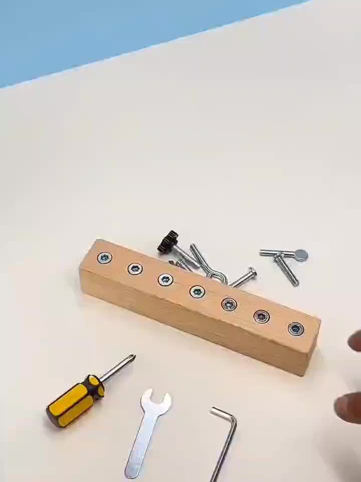 Screw Tightening Game Hand Eye Coordination Wooden Aids