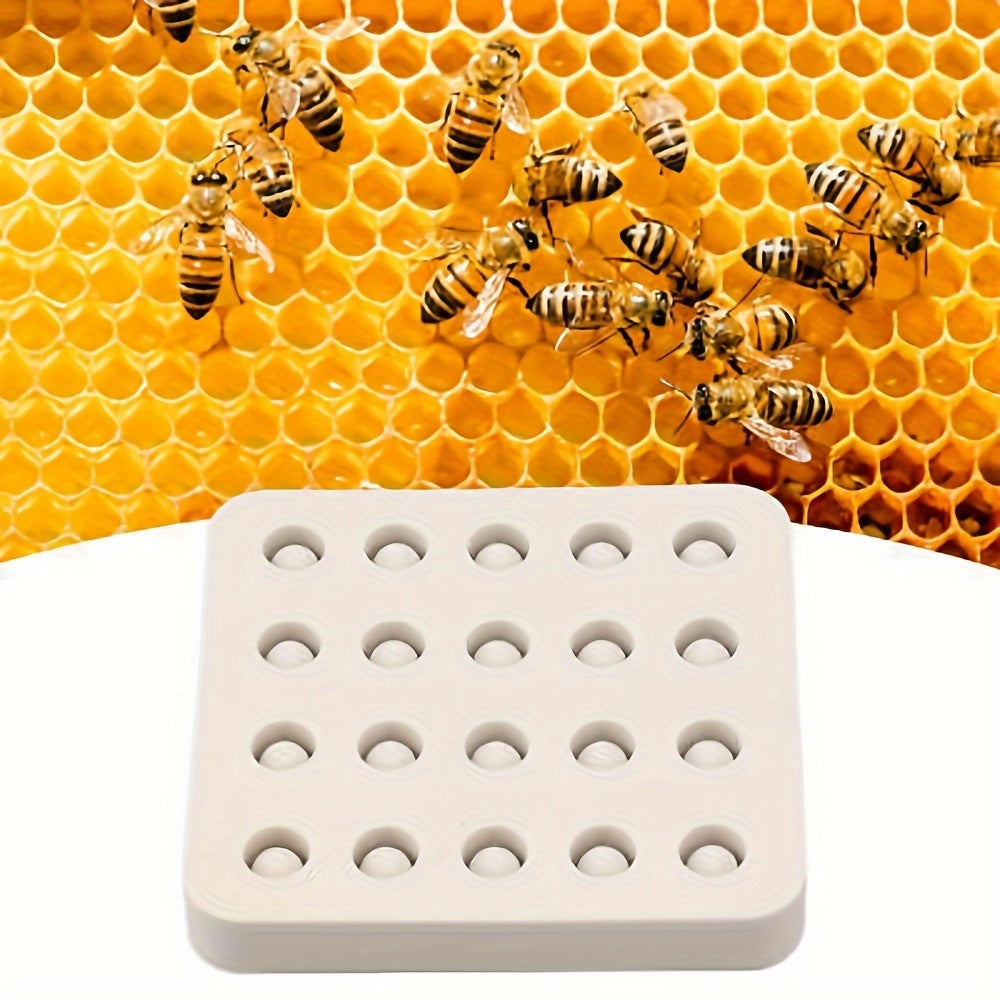 Silicone Queen Cup Mold 20 Holes for Beekeeping Supplies