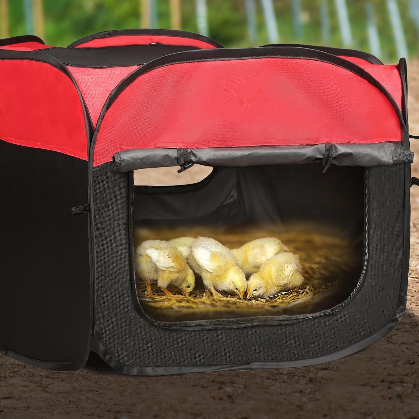 Chicken Brood Box Kit with Feeder, Drinker and Nesting Mat