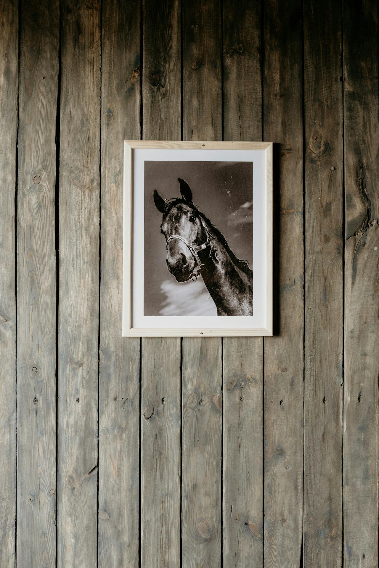 Western Home Decor