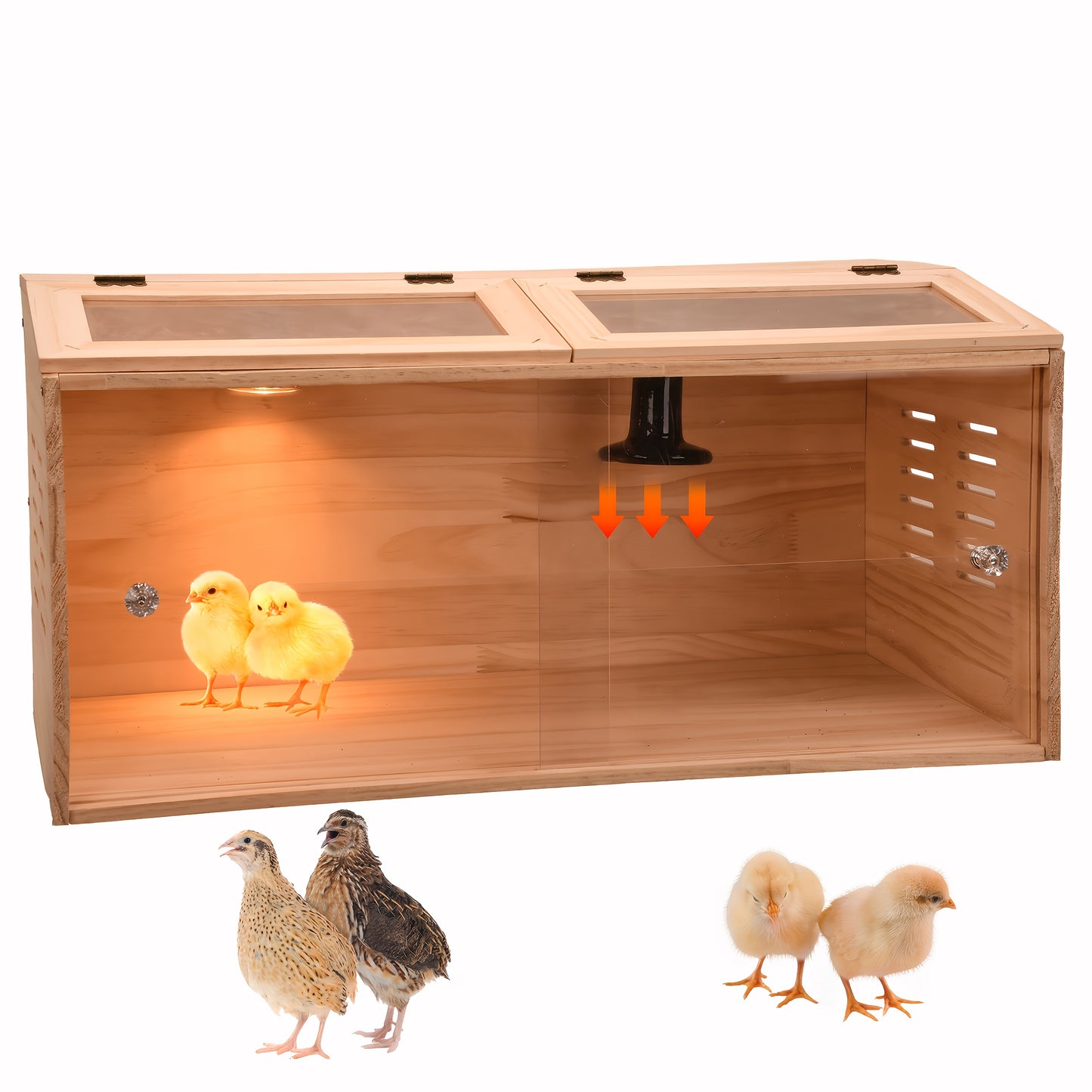 Wooden 3 To 10 Chick Brooder With Heater And Ventilation