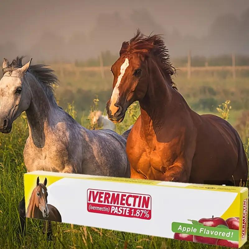 Ivermectin Horse Paste 1.87 Percent 6.08g Tube Pack of 12