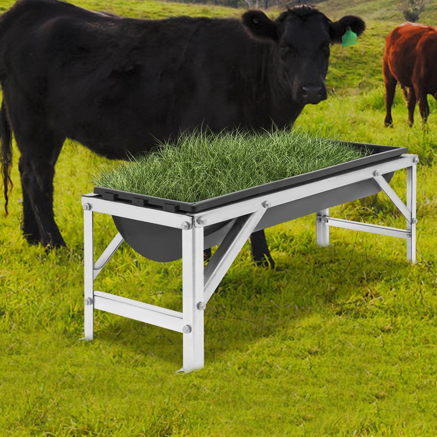 Large Capacity Horse Feeder Water Trough With Stand