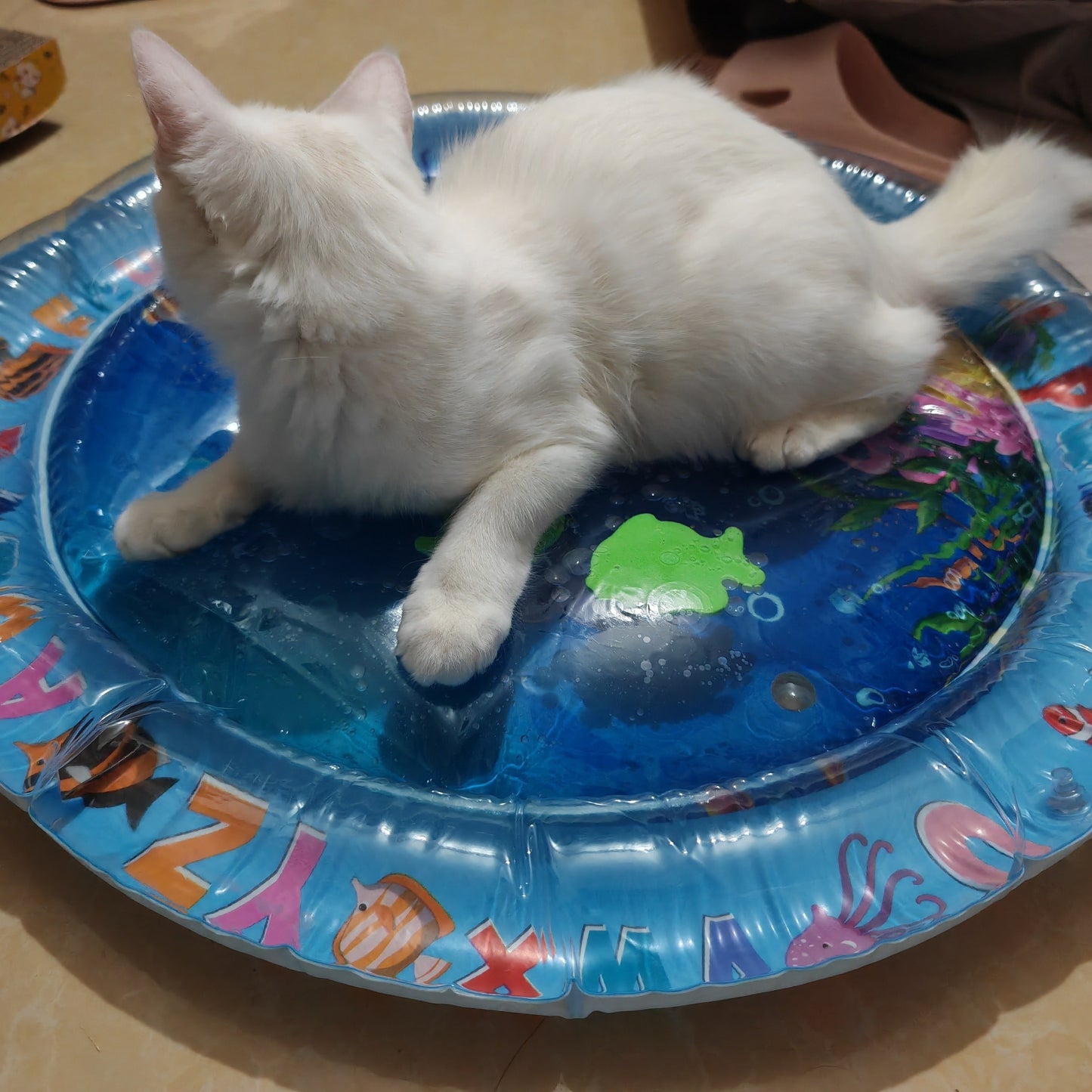 Cartoon Pattern Round Water-Resistant Pet Cooling Mat 25.59 Inch