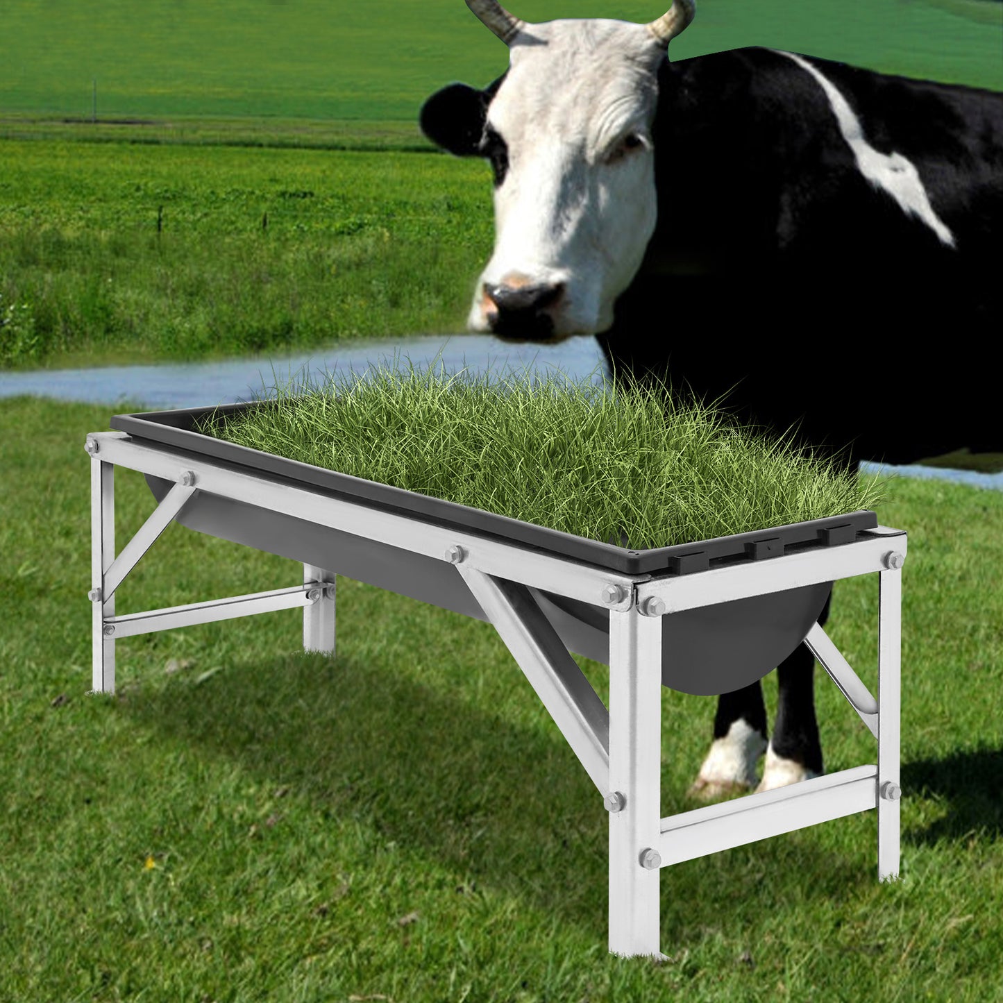Large Capacity Horse Feeder Water Trough With Stand