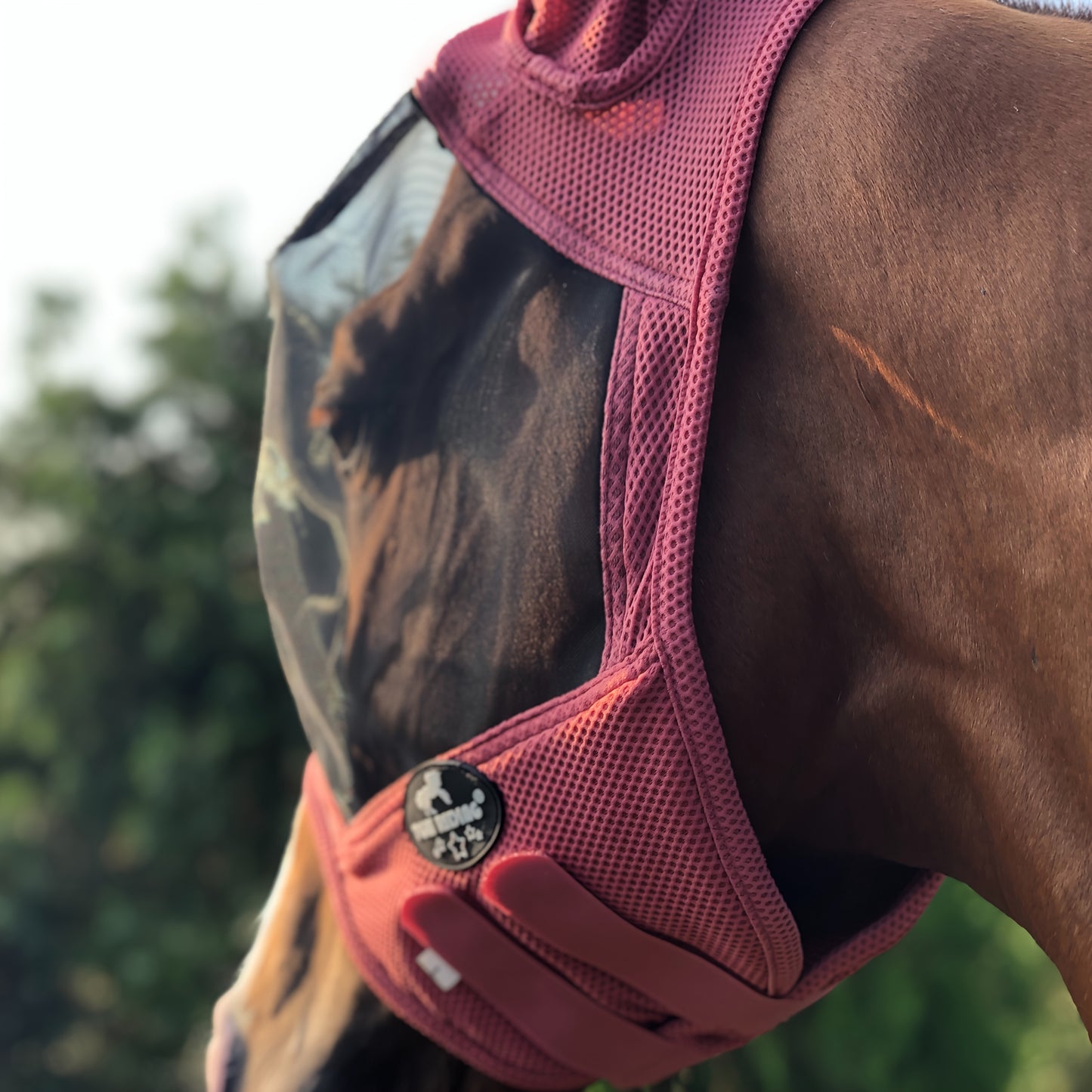 Horse Fly Mask With All Round Breathable Mesh UV Protection For Horses Durable Polyester 86 Percent UV Shield