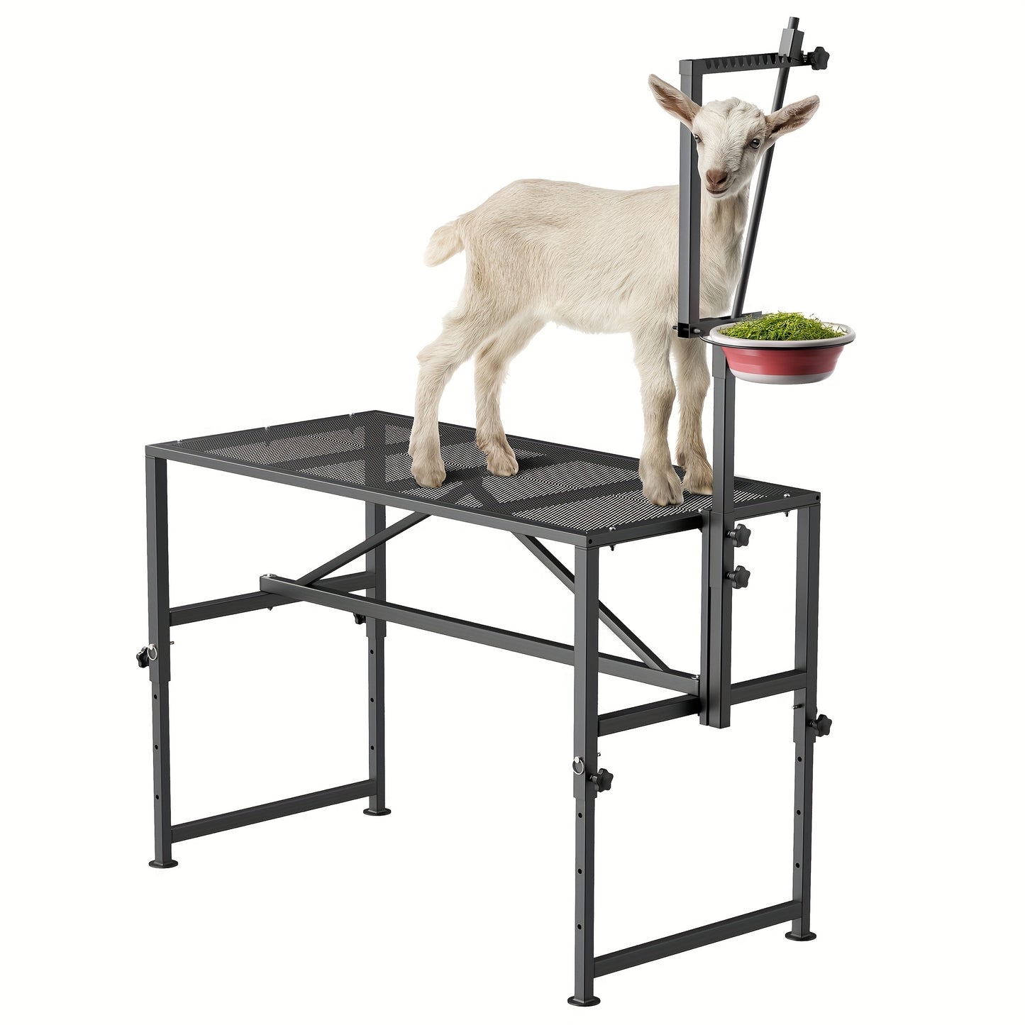 Heavy Duty Goat Milking Stand With Feed Bin 600 LB Capacity