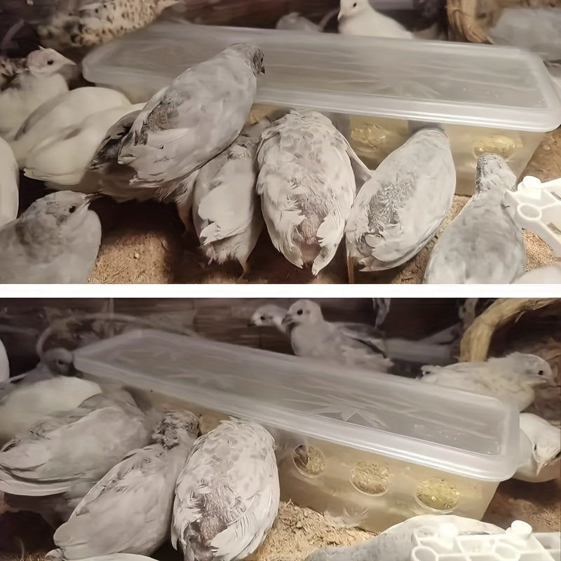 Large Capacity Chicken Feeder And Water Dispenser Wall Mount