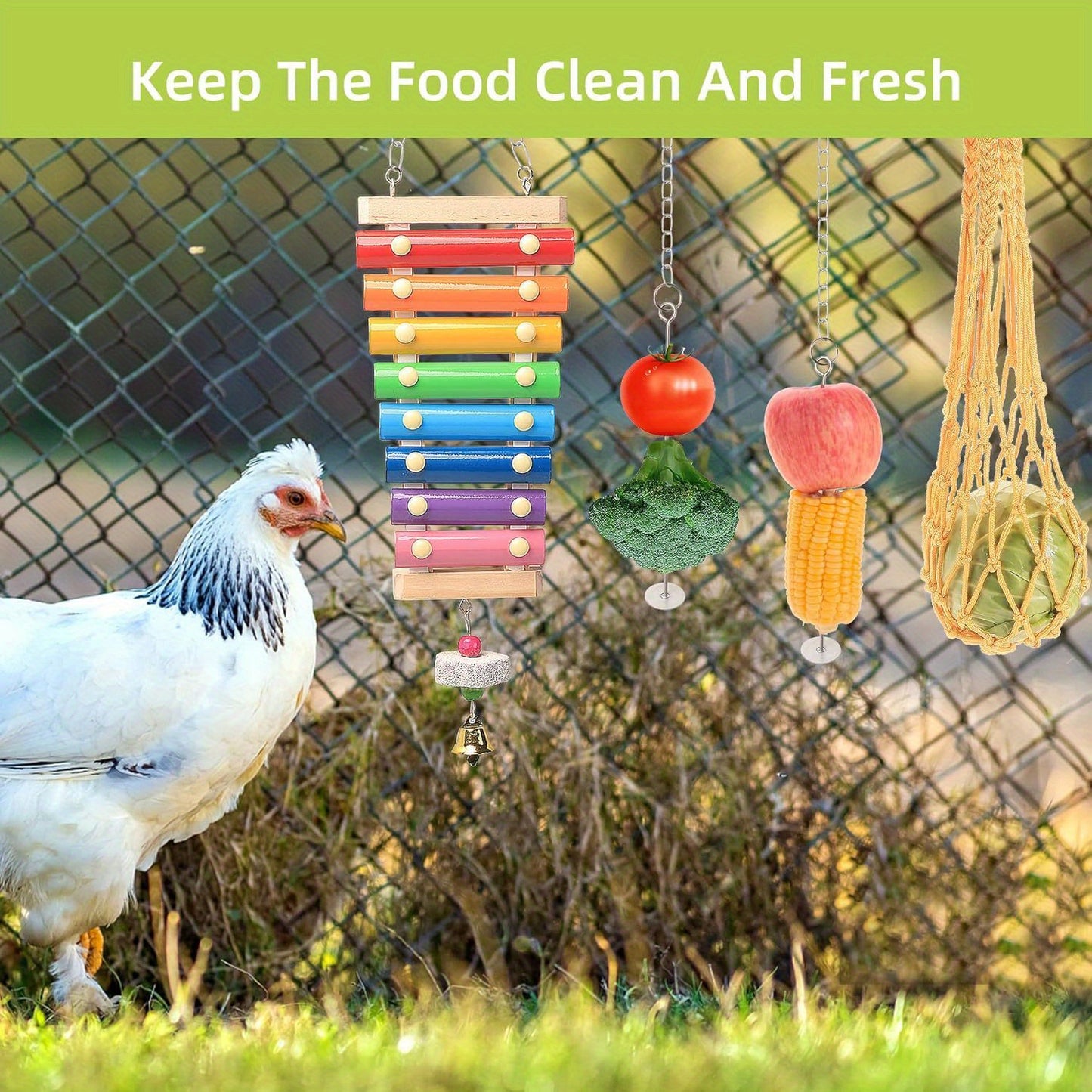 Chicken Toys For Coops With Glockenspiel And Mirror