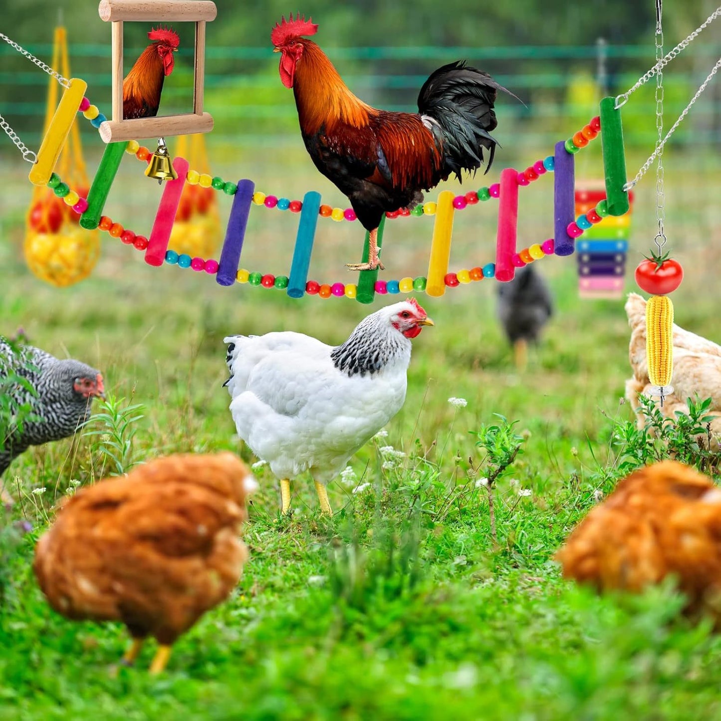 Chicken Toys For Coops With Glockenspiel And Mirror