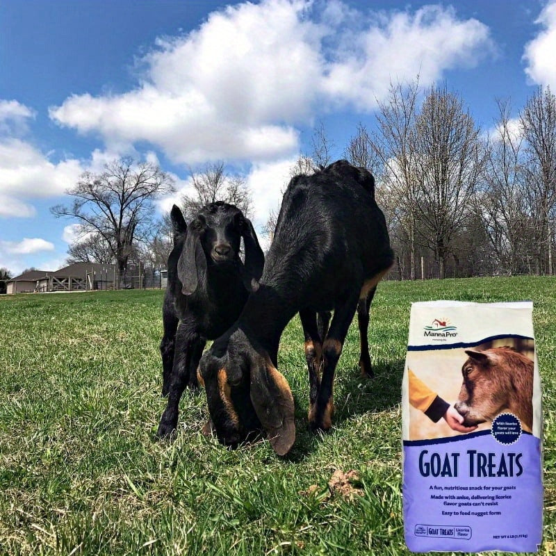 Goat Treats With Oatmeal Licorice Flavor 6 Lbs All Goats