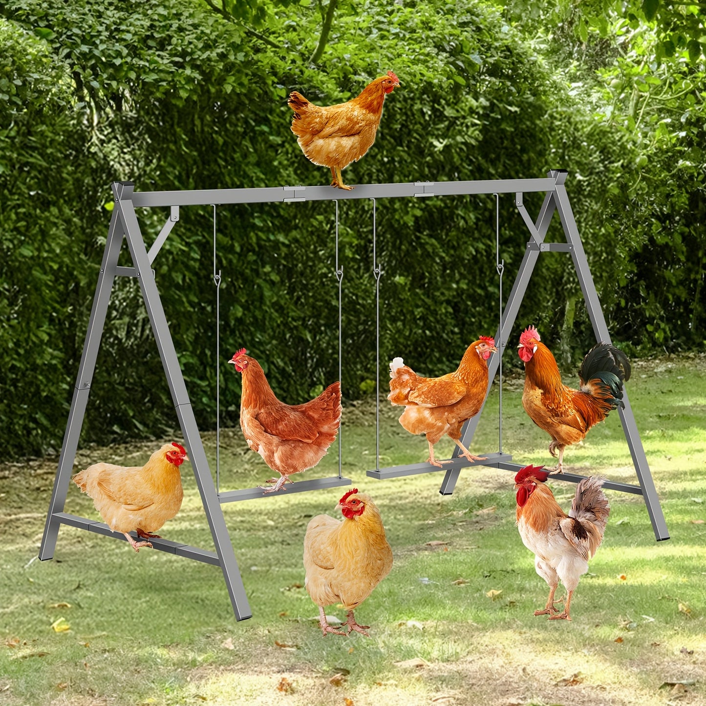 Chicken Perch Swing Set Durable Iron Alloy Platform for Hens