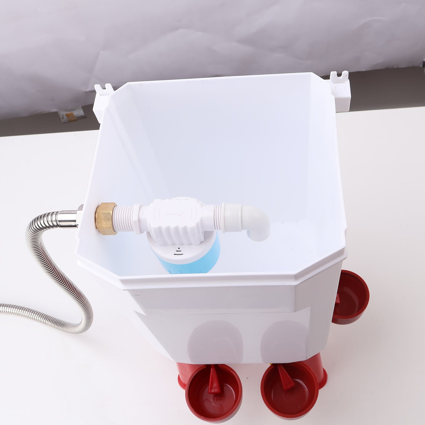 Float Controlled Automatic Chicken Waterer 2 Gallon Poultry