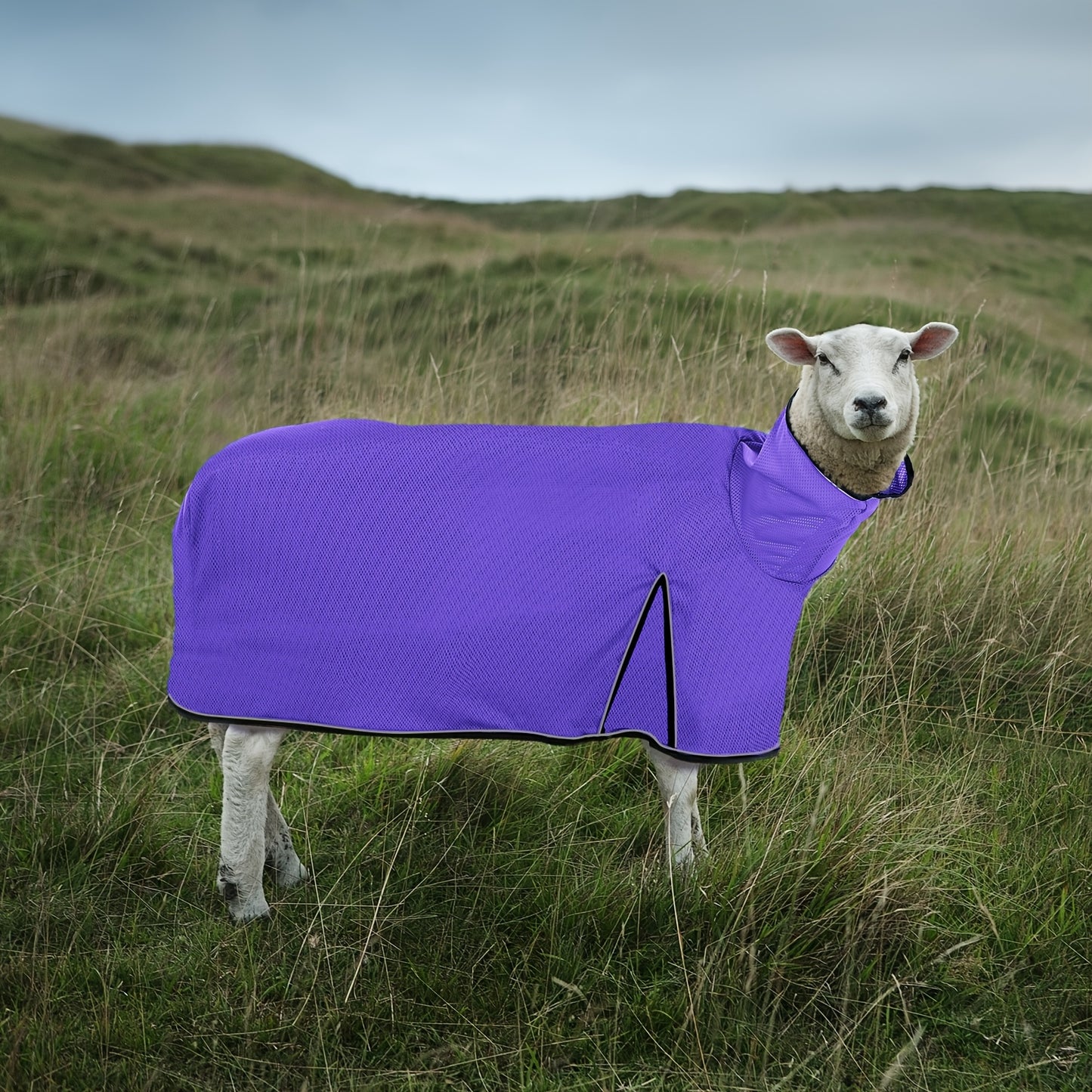 Set Of 2 Mesh Sheep Blankets For Medium Lambs With Straps
