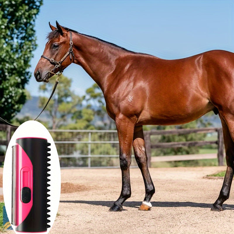 Heavy Duty Horse Hair Removal Brush With Stainless Bristles
