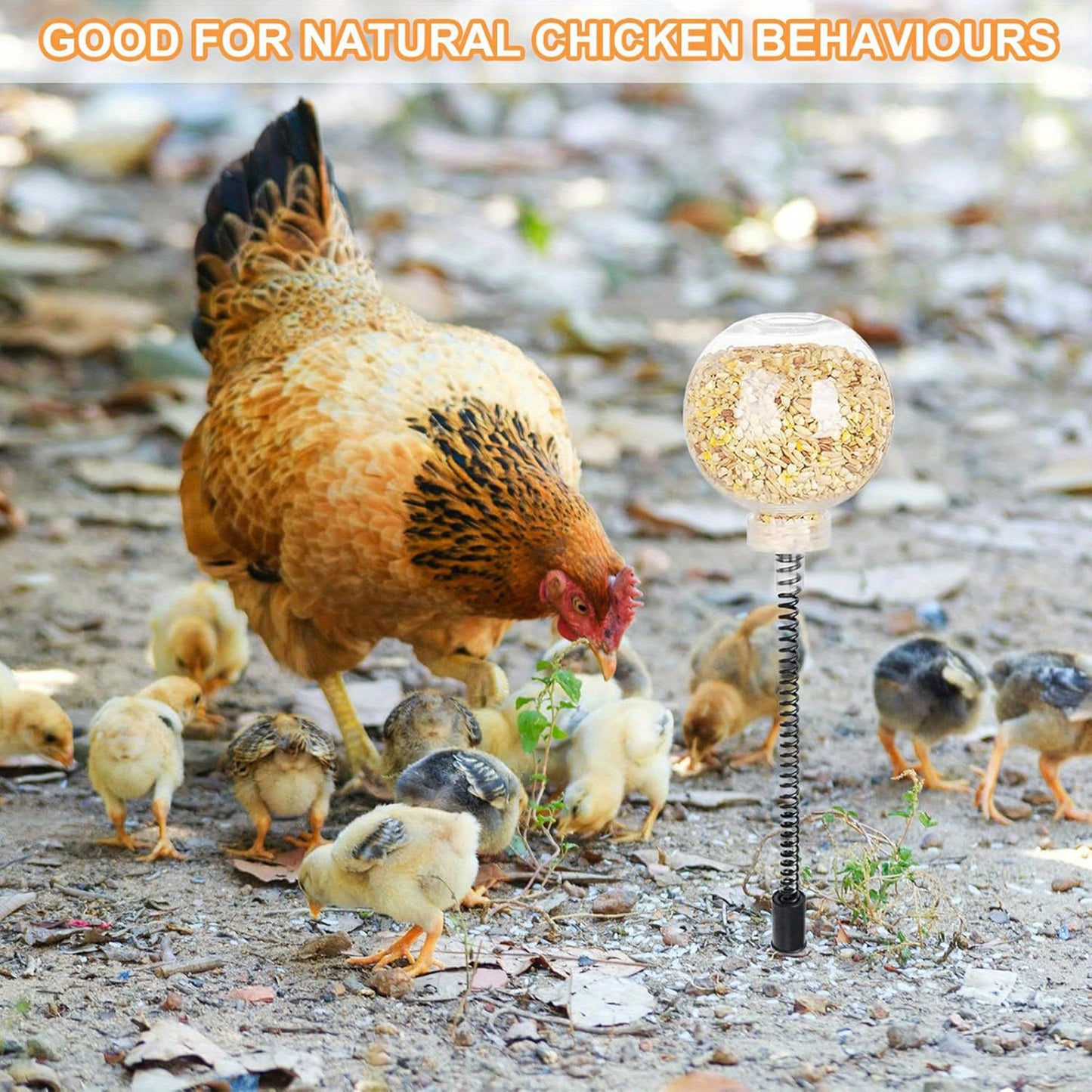 Chicken Fattening Rocking Feeder Toy for Happy Hens