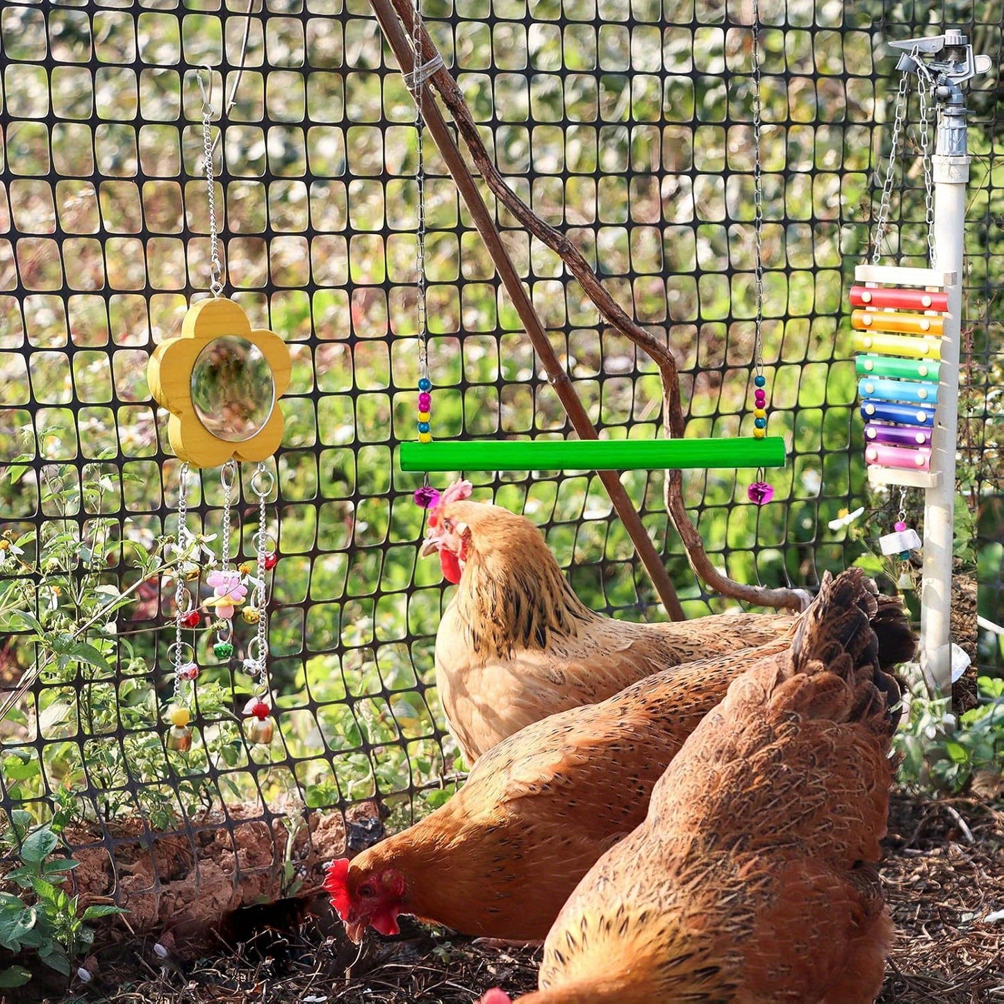 Chicken Toys For Coops With Glockenspiel And Mirror