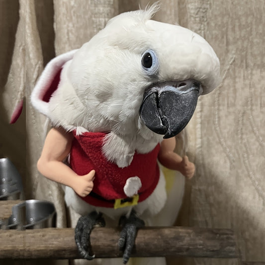 Santa Claus Muscle Arm Toy for Parrots and Small Pets