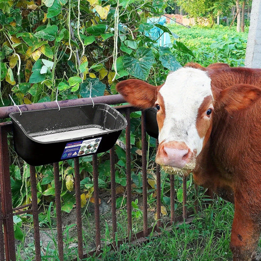 2pcs Durable Chicken Feeder for Poultry Ducks and Livestock