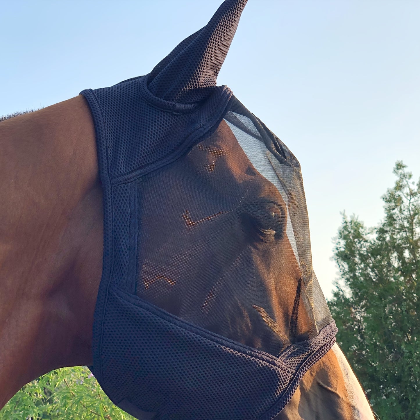 Horse Fly Mask With All Round Breathable Mesh UV Protection For Horses Durable Polyester 86 Percent UV Shield