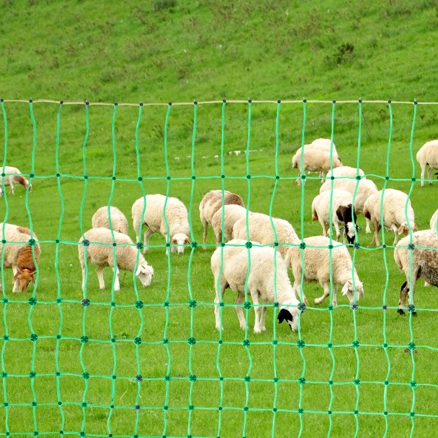 VEVOR Electric Fence Netting 164 Ft With Posts And Stakes