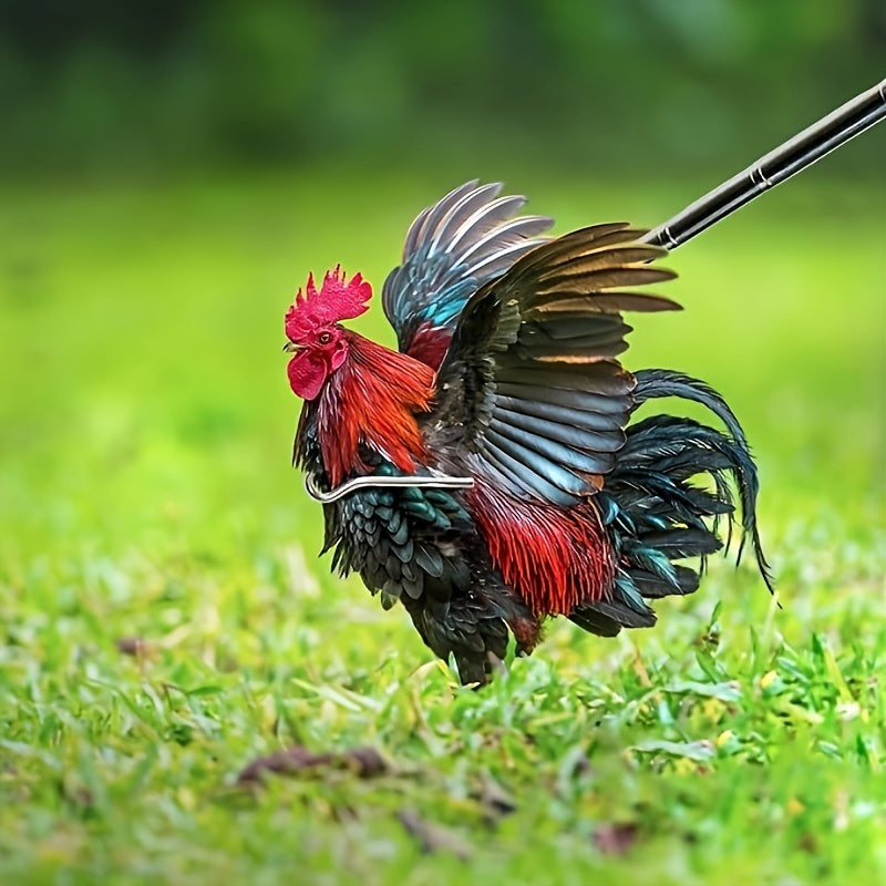 Stainless Steel Extendable Chicken Catcher with Fine Mesh Net