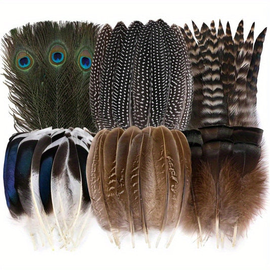 Natural Feathers 48 Pcs Six Styles Peacock Pheasant Turkey