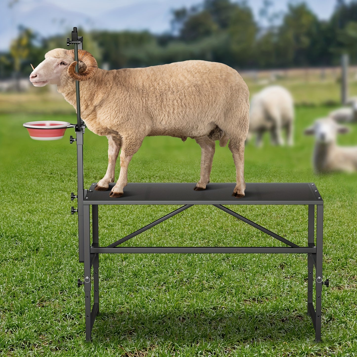 Heavy Duty Goat Milking Stand With Feed Bin 600 LB Capacity