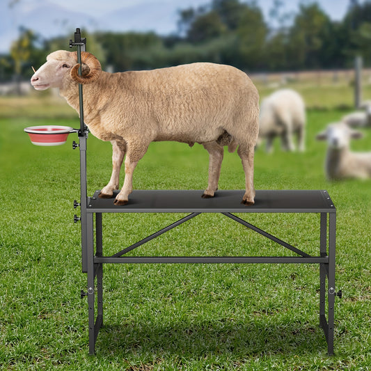 Heavy Duty Goat Milking Stand With Feed Bin 600 LB Capacity