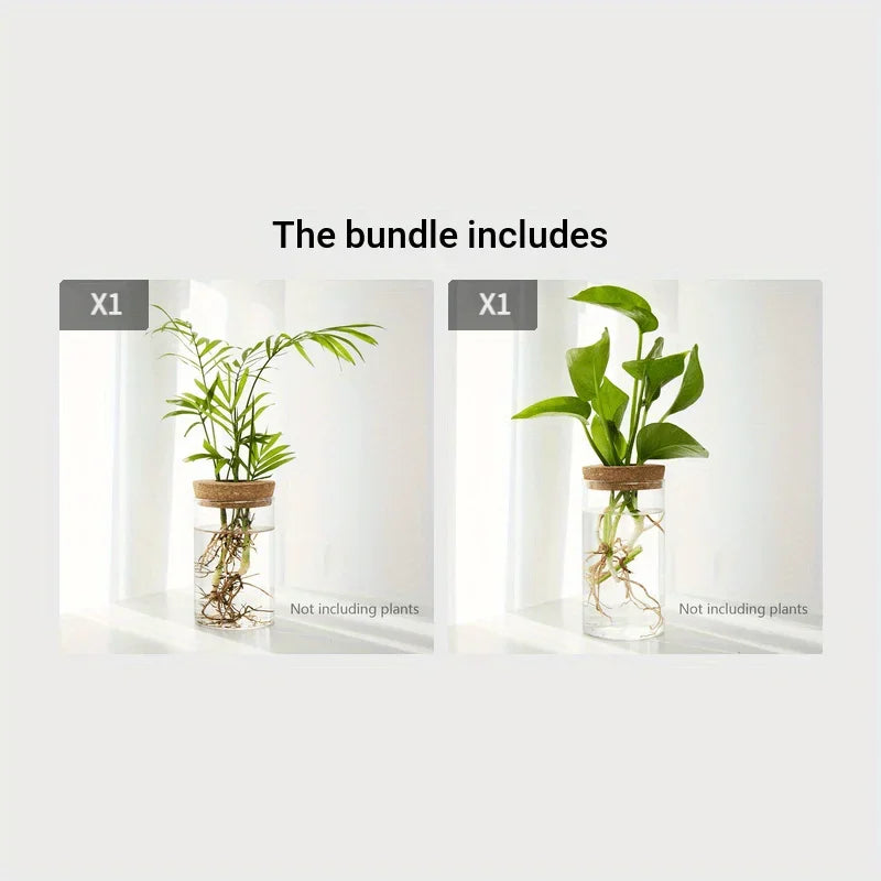 Hydroponics Plants Desktop Glass Planter Vase