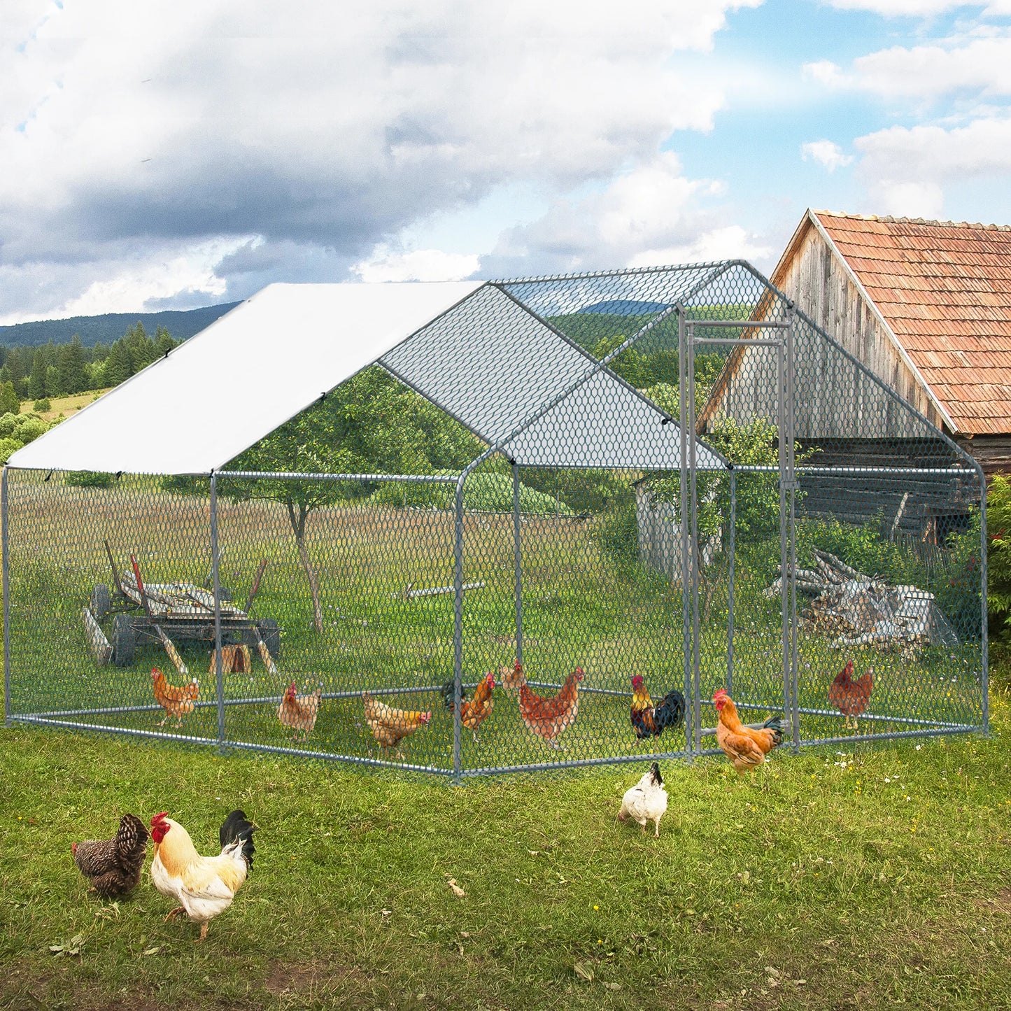 10 x 10 ft Large Metal Chicken Coop